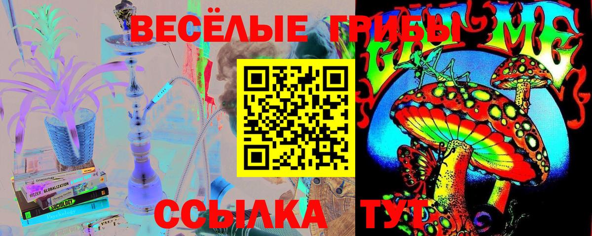 Псилоцибиновые грибы прущие грибы Казань